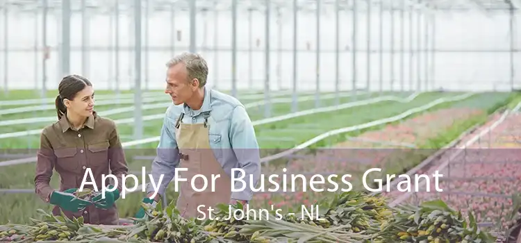Apply For Business Grant St. John's - NL